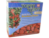 TOPSY TURVY Strawberry Planter Hängepflanzer Erdbeere