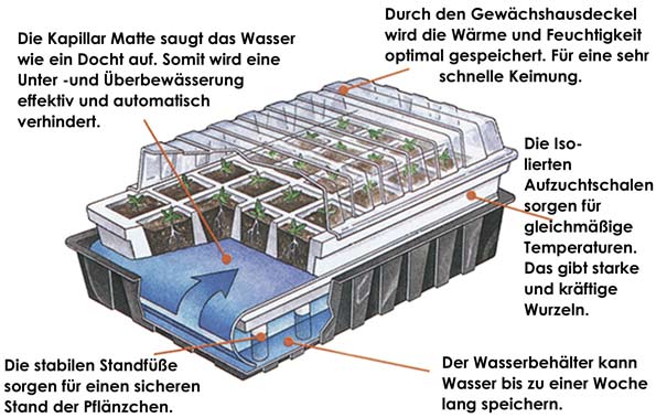 Selber bewsserndes Zimmergewchshaus